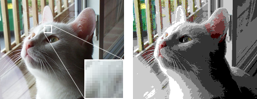 Left: A source image of a cat; Right: The same image using a restricted 8 bit colour palette. Cat images courtesy of Wikipedia user Jamelan